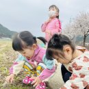 4월/ 산책: 봄 꽃 네일아트💅 이미지