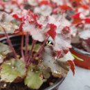 경희농원 이미지