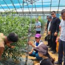 운영농장 이미지