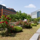 서강대학교 이미지