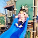 상대동 큰섬마을 이미지