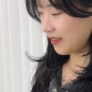 리안헤어동림