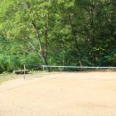 비둘기 펜션 이미지