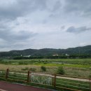 우산천변길 이미지