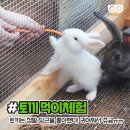 초록마을가든