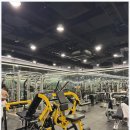 서효석 헬스&휘트니스 센터 | 양재역헬스 양재역 최고 휘트니스센터 후기