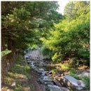 여울목 식당 이미지