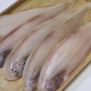생선마켓 네이버블로그