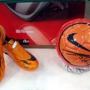 보보스안경원 이미지