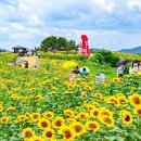 해바라기 - 영등포구 당산로10길 7 | 해바라기