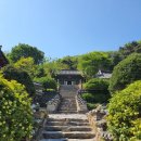 석남사가는길 | 안성 당일치기 여행, 드라마 <도깨비> 속 석남사와 금광호수 유채꽃 산책