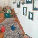 참사랑이화약국 이미지