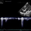 24시 와이즈 동물메디컬센터 이미지