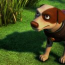 슈퍼베어 이미지