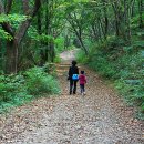 테마별 베스트 여행지 20 이미지