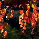 길목한의원 이미지