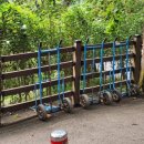 병목안캠핑장 | [안양] 서울 근교 캠핑장 도심 속 캠핑장 - 병목안 캠핑장