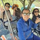 청도레일바이크 이미지