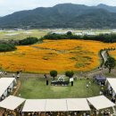 꽃 음악회 이미지