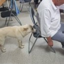 부산리 농장 이미지