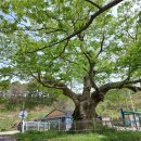 경기도 안성시 금광호수(하늘전망대) 여행. 이미지