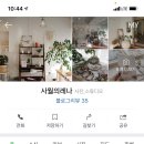 사월의레나 이미지