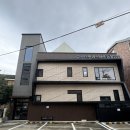 윤성진 안과/외과 동물병원 | [성남] 12살 된 달이 백내장 검사 및 치료 [윤성진안과병원] 노견