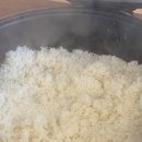 나성동 24시 국밥맛집 "산더미 미성 돼지국밥" 솔직후기(메뉴, 주차)