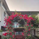 탄현체육공원 이미지