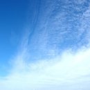 캐비어동물메디컬센터 이미지