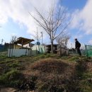 삶과 죽음 이미지