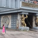 쌍둥이목장 이미지