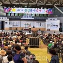 품바 이미지