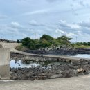 한반도농협 신천지점 | 서귀포 제주올레길 3,4코스 완주후기 (25.11.12)