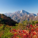 단풍 - 부여군 | 단풍
