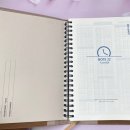 브라운스프링 이미지