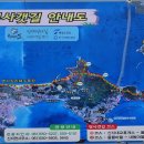 신지도 Daum카페