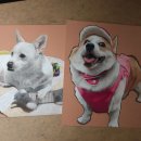 색연필 그림 이미지