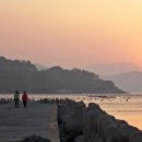 바다에 누워 이미지