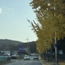 하늘문화로47번길 | 평택 송탄 부락산 문화공원 단풍 산책기 – 하늘길 코스 따라 걸으며 피톤치드로 힐링한 하루