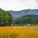 의외로 잘 모르는 국내 숨은 여행지 함양군 가볼 만한 곳 7 이미지