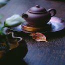 유어펫그루밍 이미지