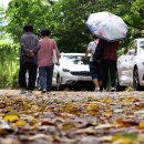 올 가을 라니냐 발생 가능성, 한국 극심한 기상 악화 초래할 수도,,15호 태풍 &#39;페이파&#39; 상륙 임박 이미지
