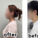 공주더리햅