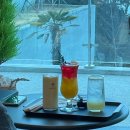 몰리힐스(MOLLI HILLS) 이미지