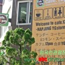 YG국제여행사 이미지