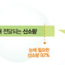 끌림안경 이미지