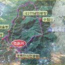 고려스포랙스 이미지