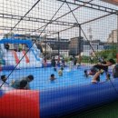 용인대 수영 태권도장 | 홍천 아이들체육활동 홍천용인대블랙벨트 태권도 여름철 수영으로 더위 날려버리기