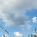 달님농장 이미지